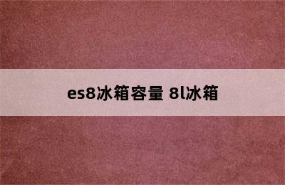 es8冰箱容量 8l冰箱